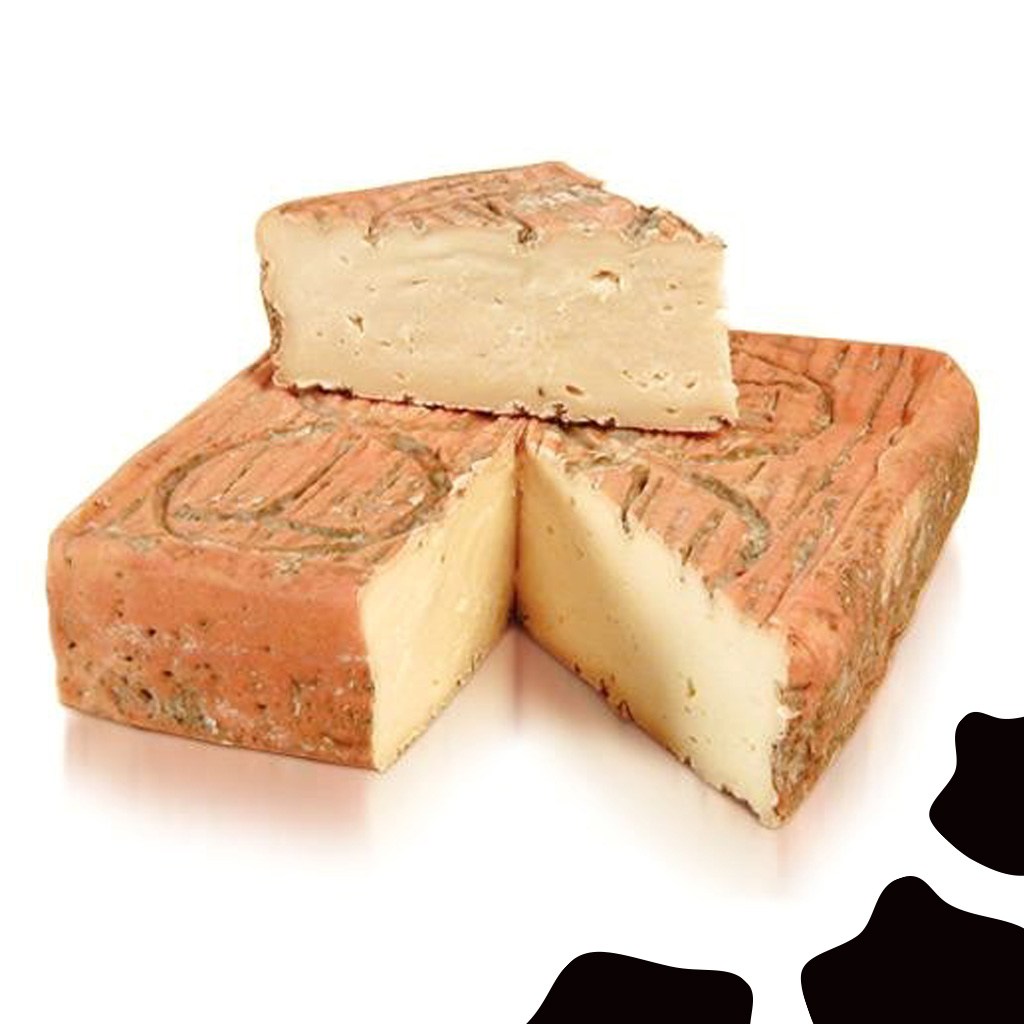 Taleggio La Casa della Burrata